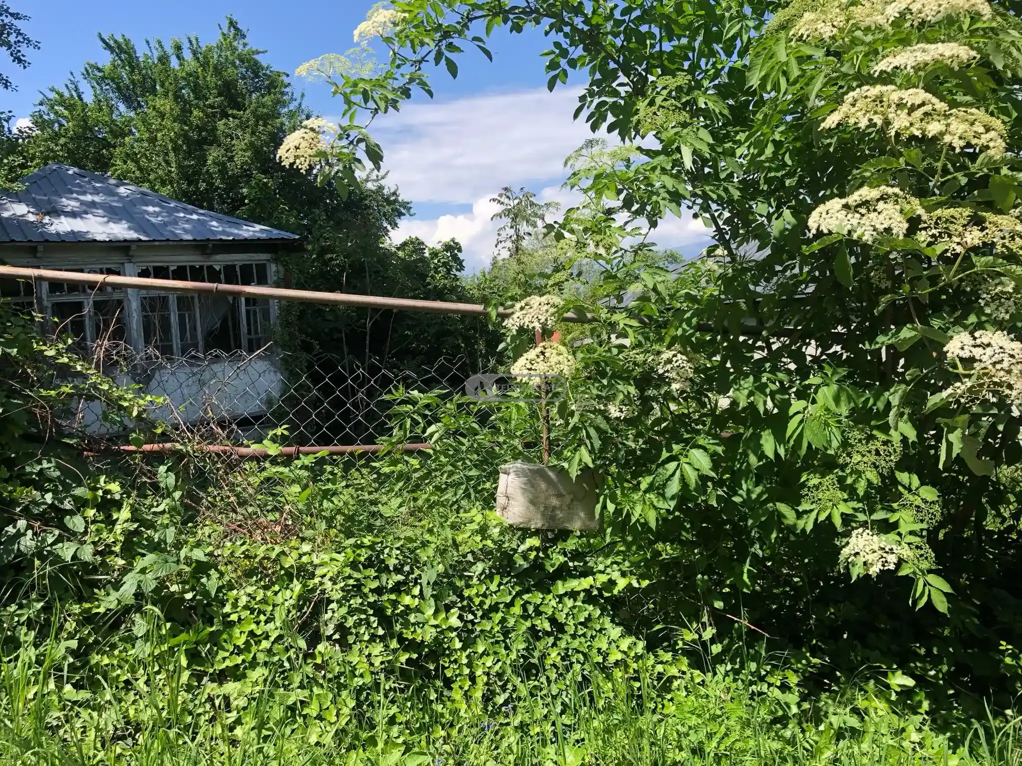 მიწის ნაკვეთი თელავში