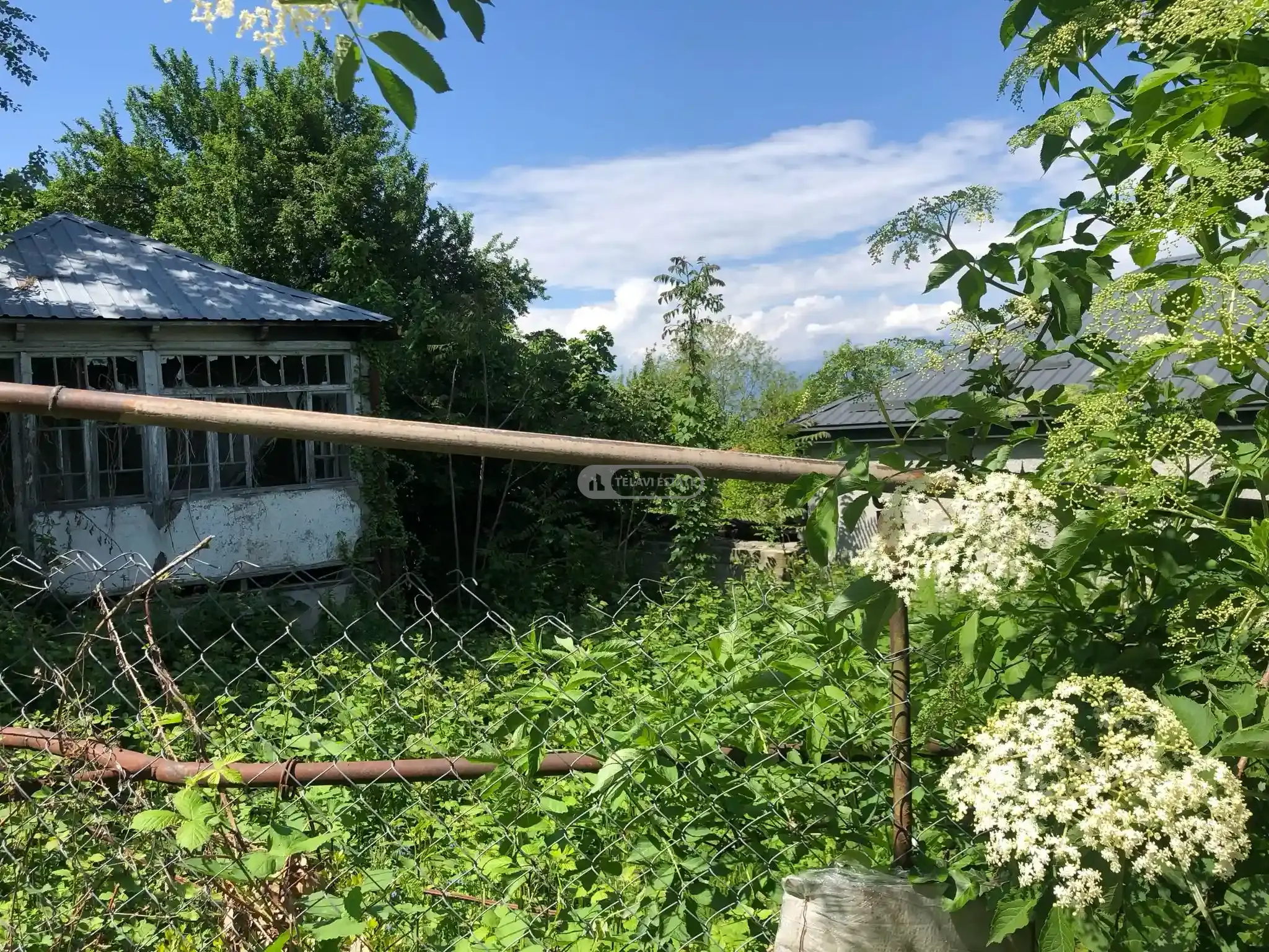 მიწის ნაკვეთი თელავში