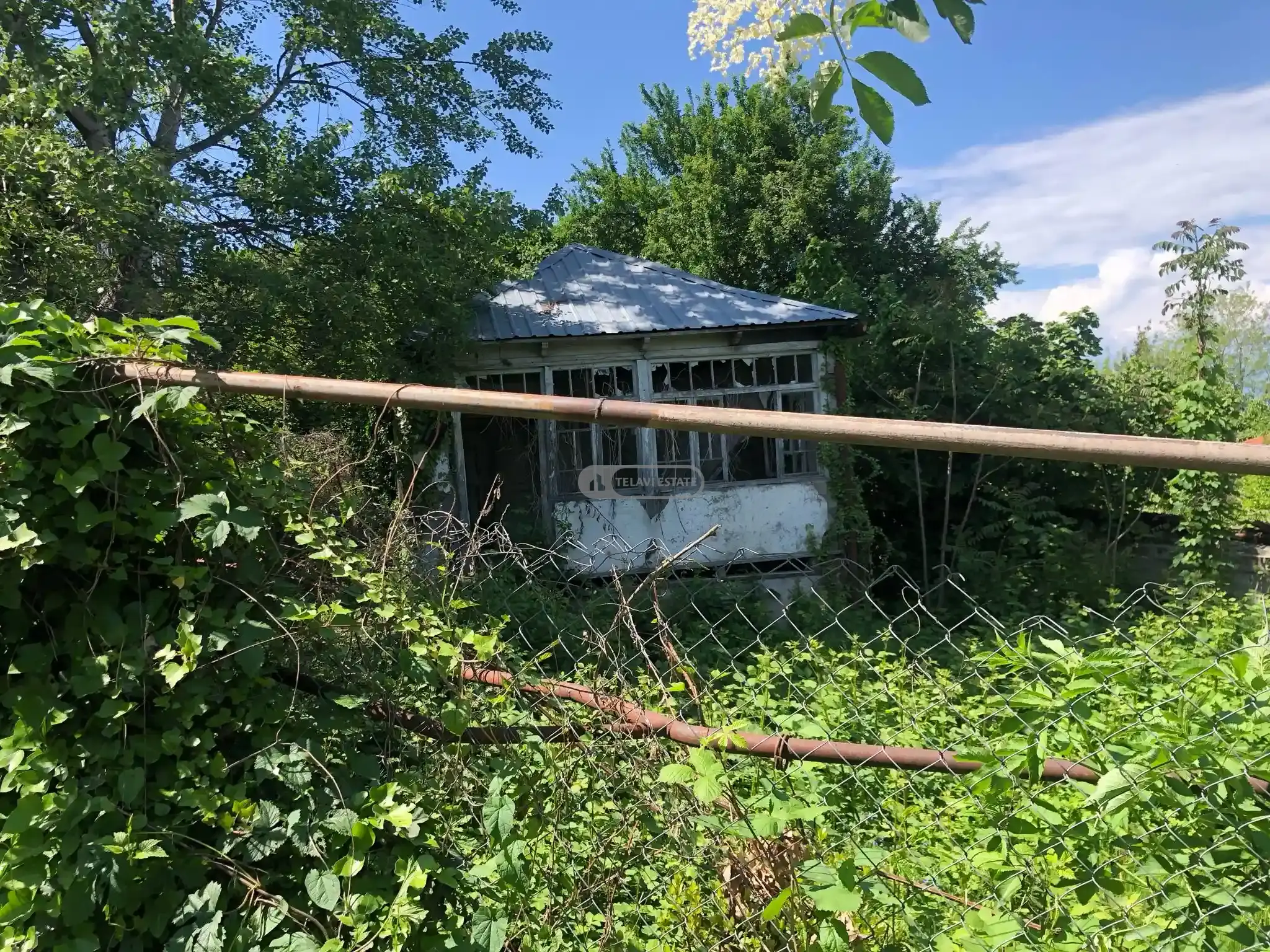 მიწის ნაკვეთი თელავში