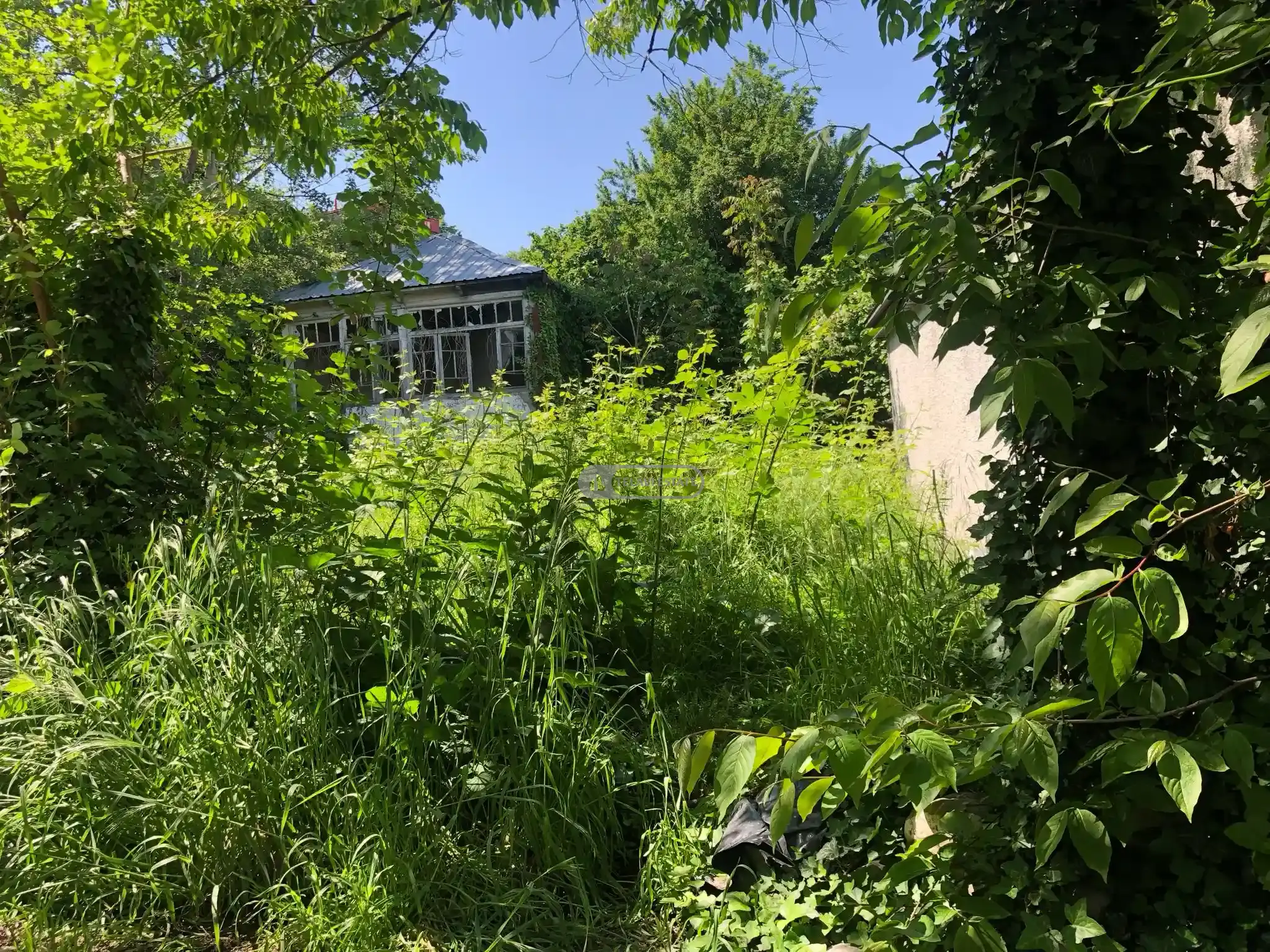 მიწის ნაკვეთი თელავში