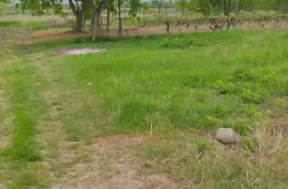 მიწის ნაკვეთი კურდღელაურში