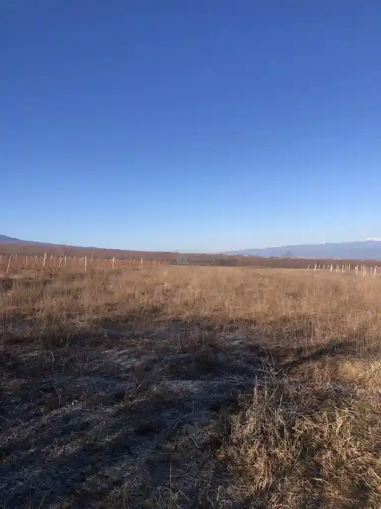 მიწის ნაკვეთი კისისხევში