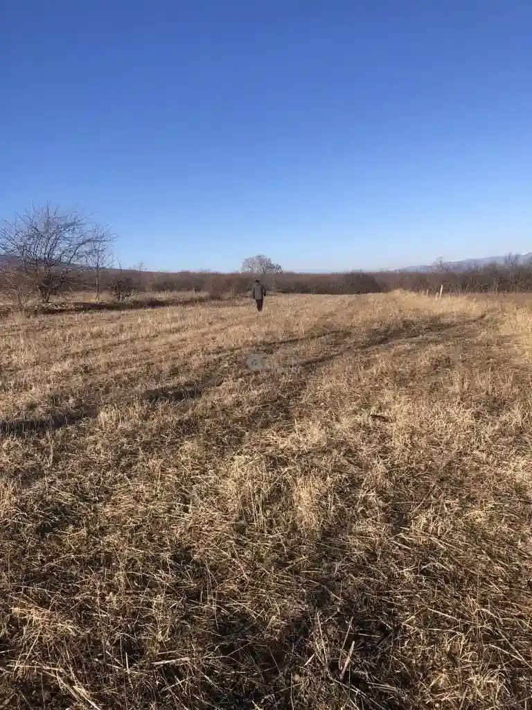 მიწის ნაკვეთი კისისხევში