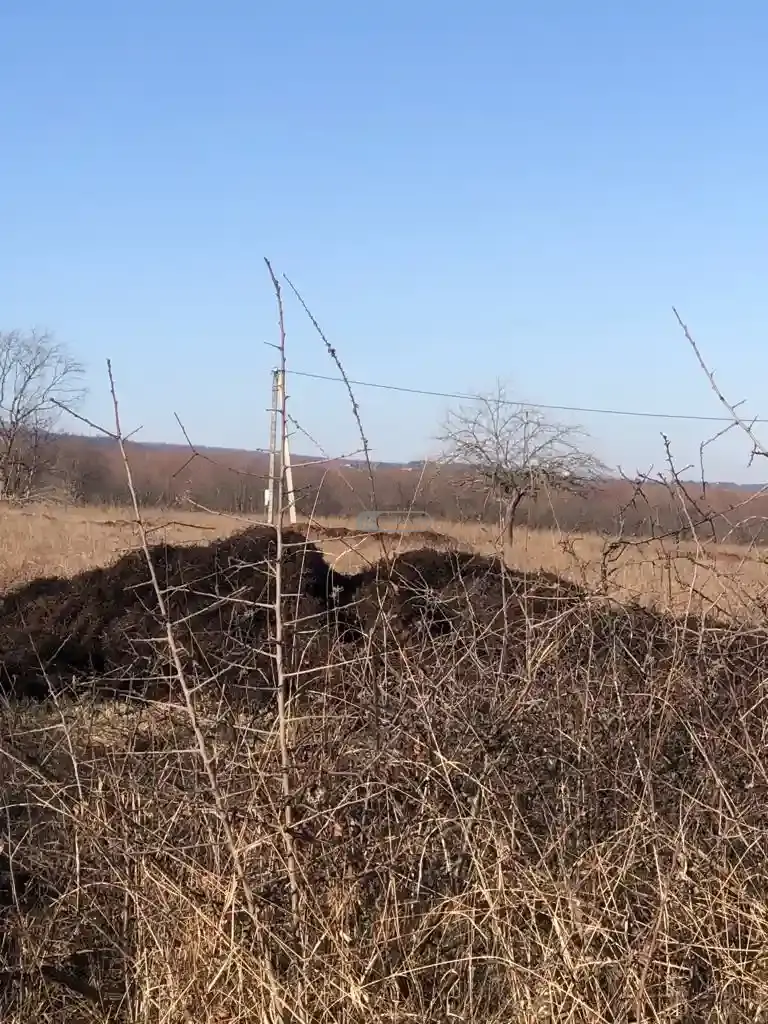 მიწის ნაკვეთი კისისხევში