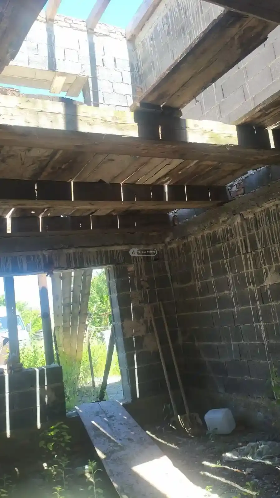 House Property in Telavi