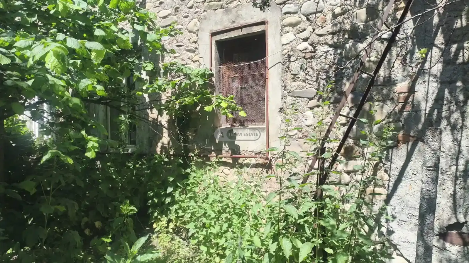 House Property in Telavi