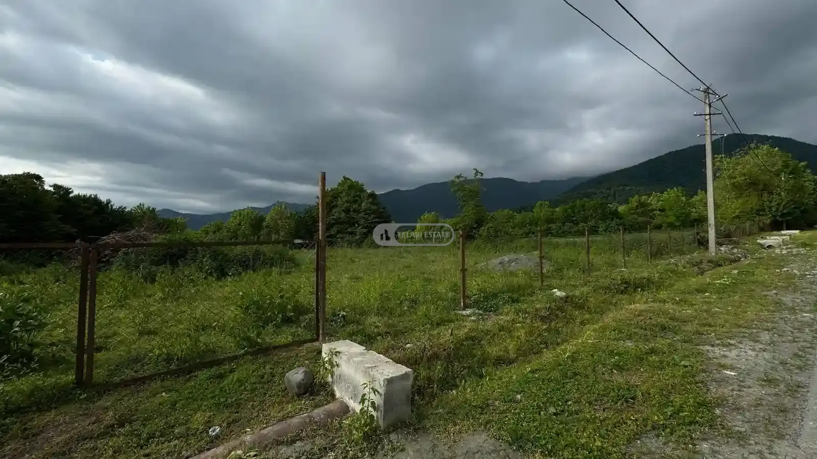 მიწის ნაკვეთი ლაგოდეხში, სოფ. მაწიმი