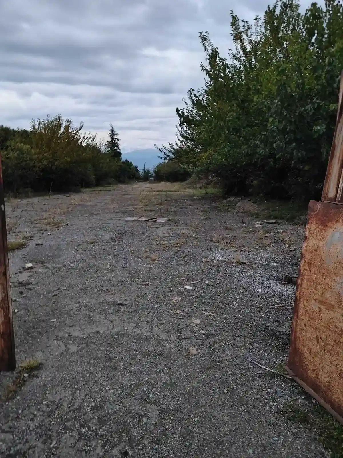 Beletage House with Attic for Sale in Telavi