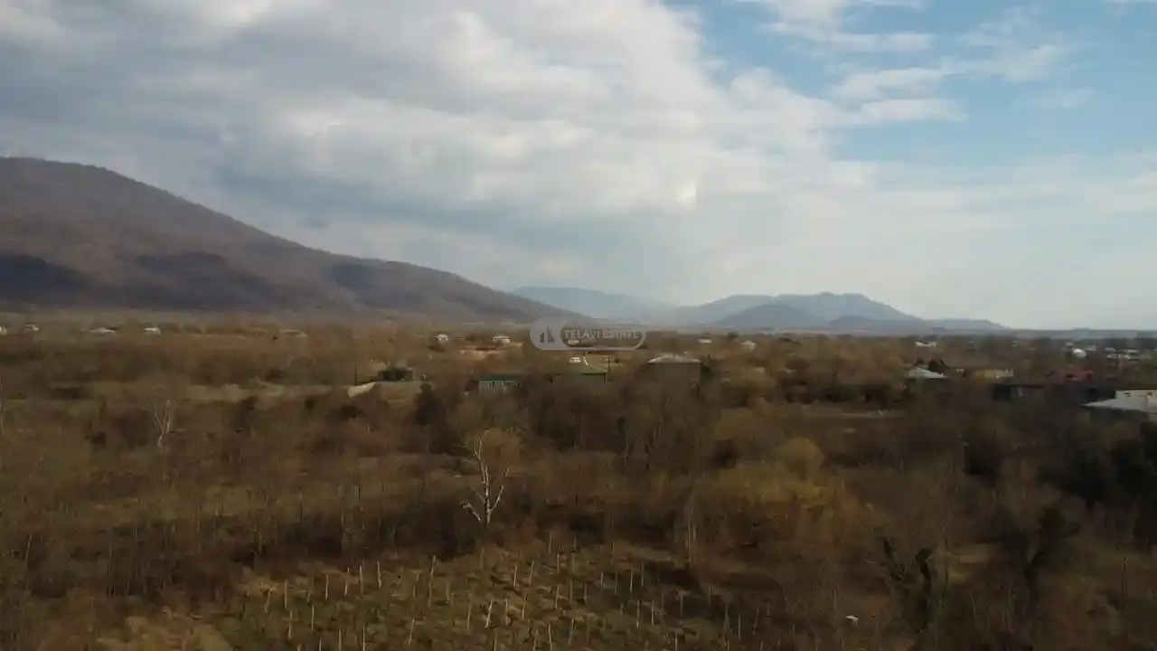 Land plot in Pshaveli