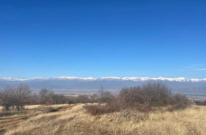 მიწის ნაკვეთი ვარდისუბანში