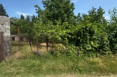 მიწის ნაკვეთი წინანდალში