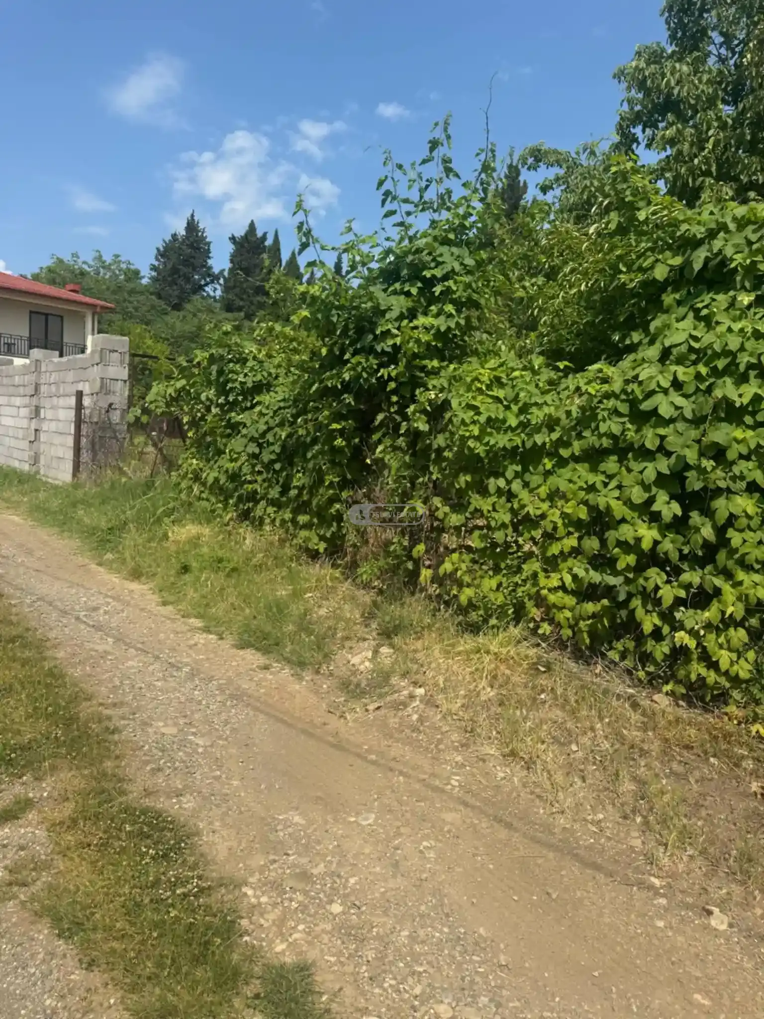Residential Plot for Sale in Tsinandali