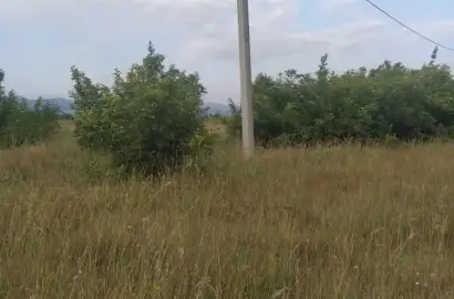 მიწის ნაკვეთი კონდოლში