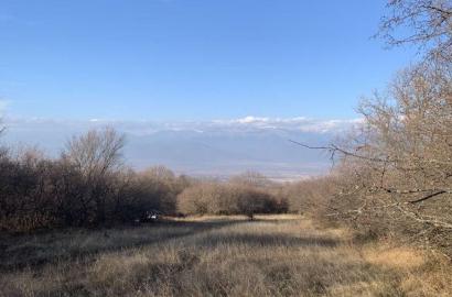 მიწის ნაკვეთი ვარდისუბანში