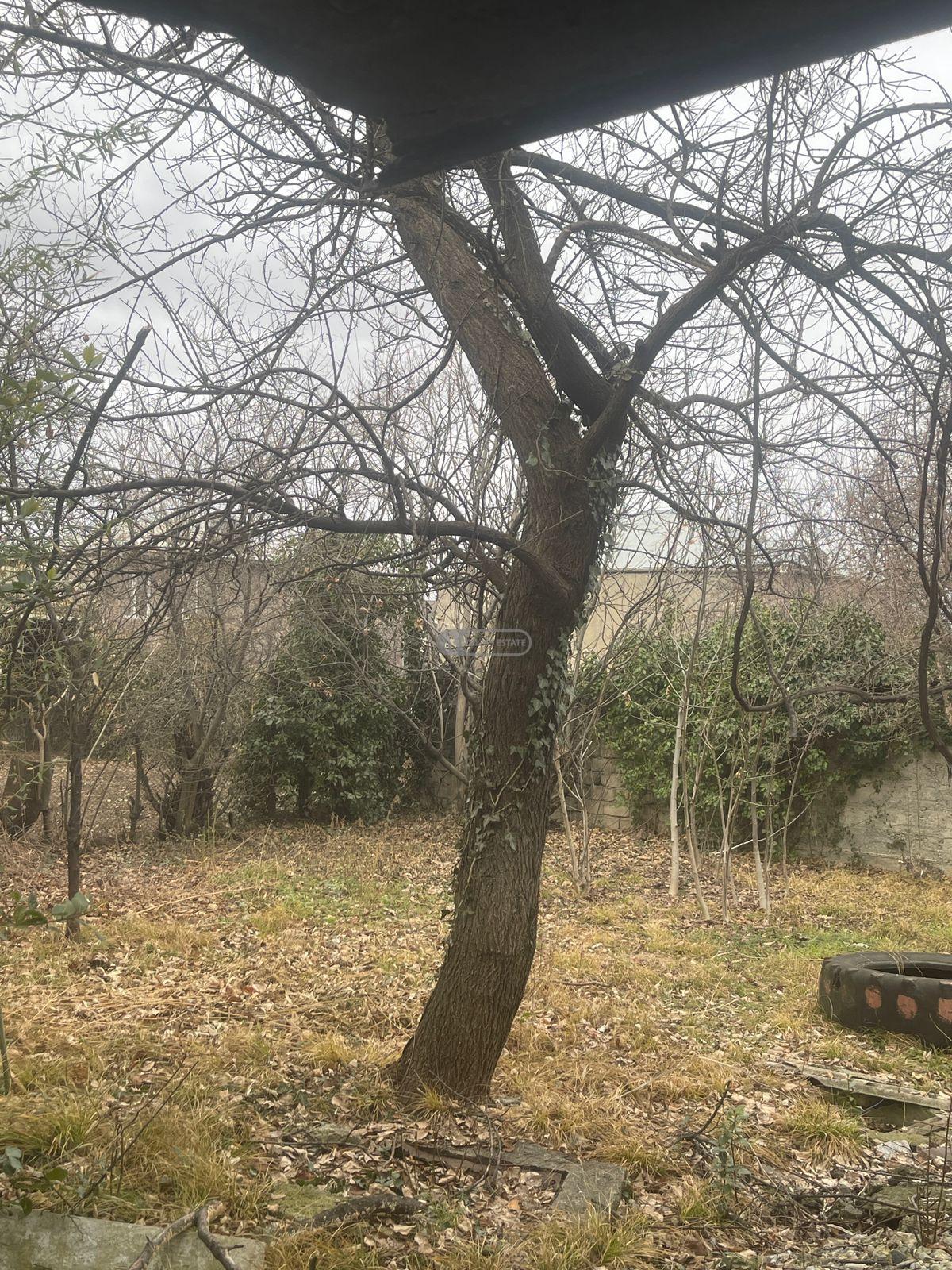 ორსართულიანი სახლი თელავში