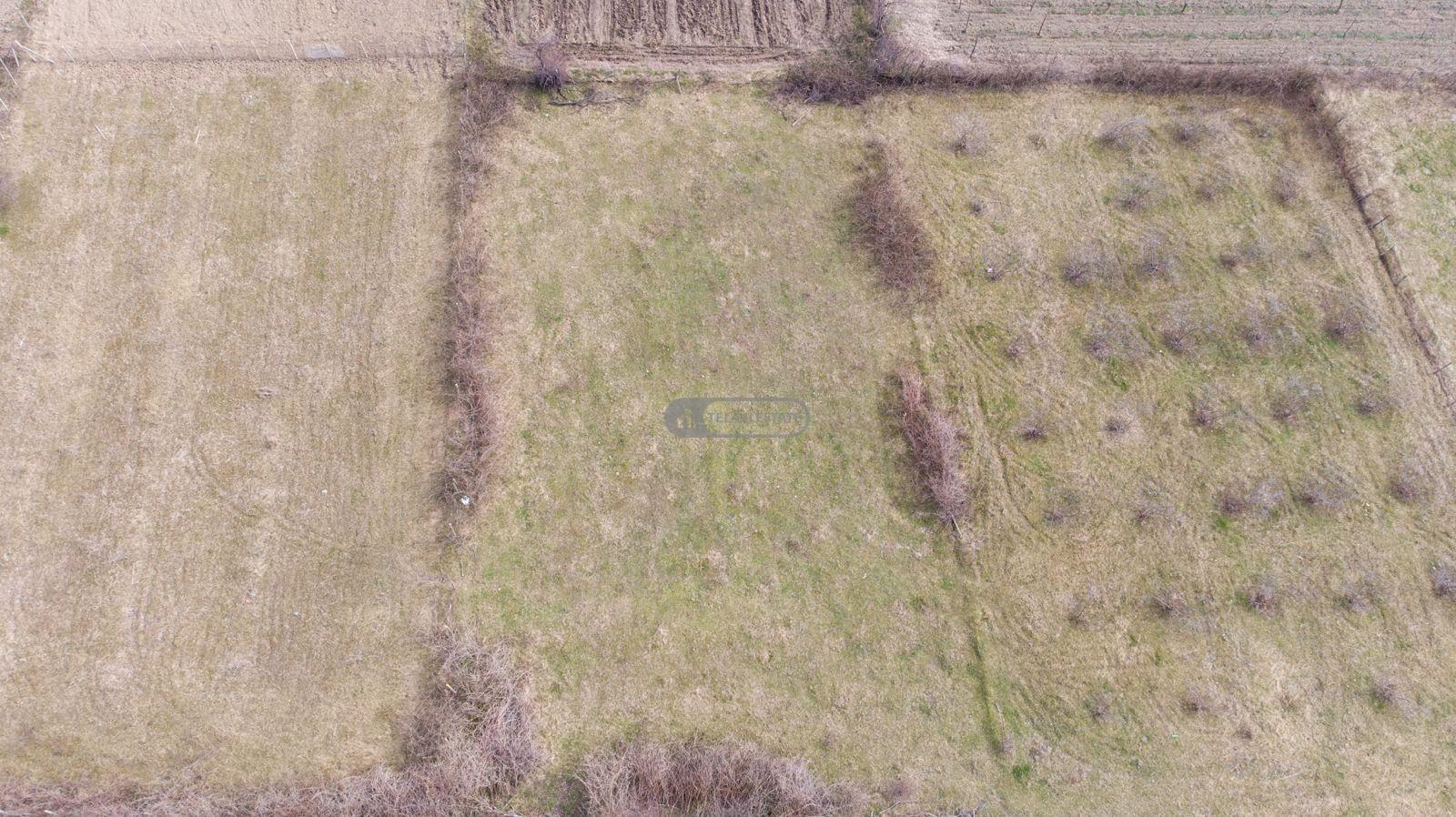 Land Plot in Gremi Village