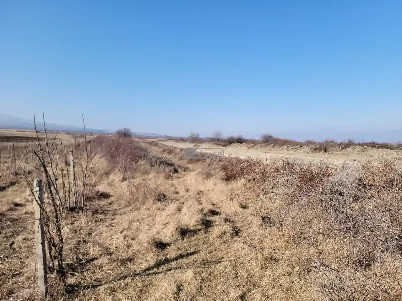 Старый виноградник в Кисисхеви