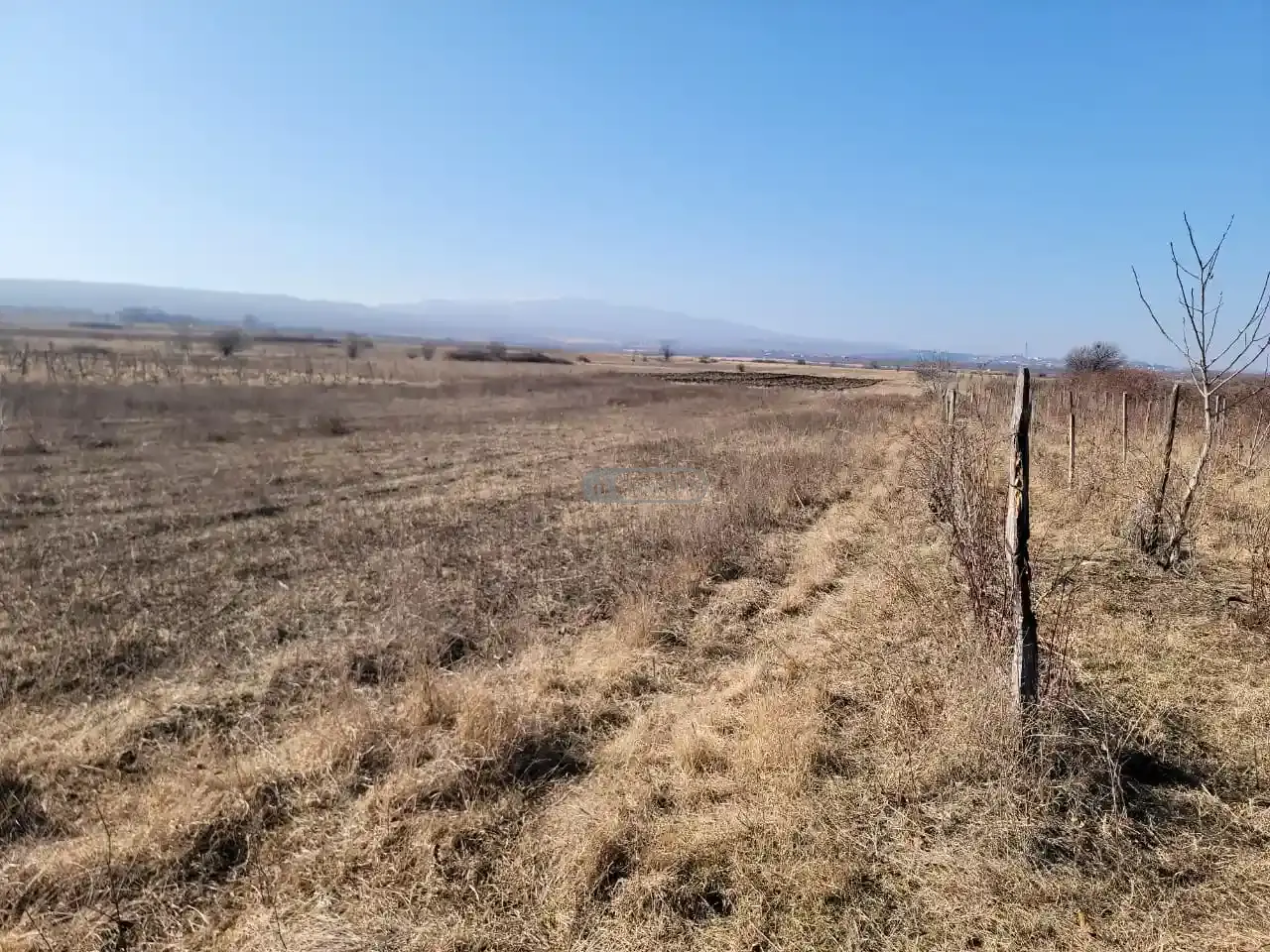 Старый виноградник в Кисисхеви