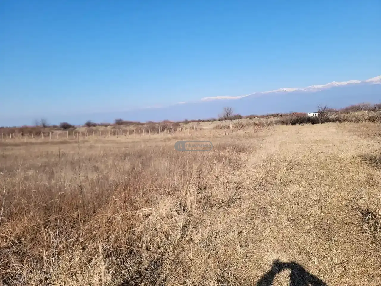 Старый виноградник в Кисисхеви