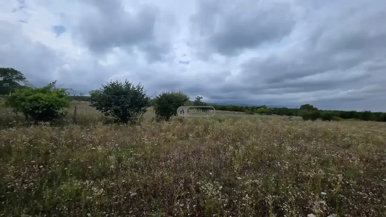 მიწის ნაკვეთი კისისხევში