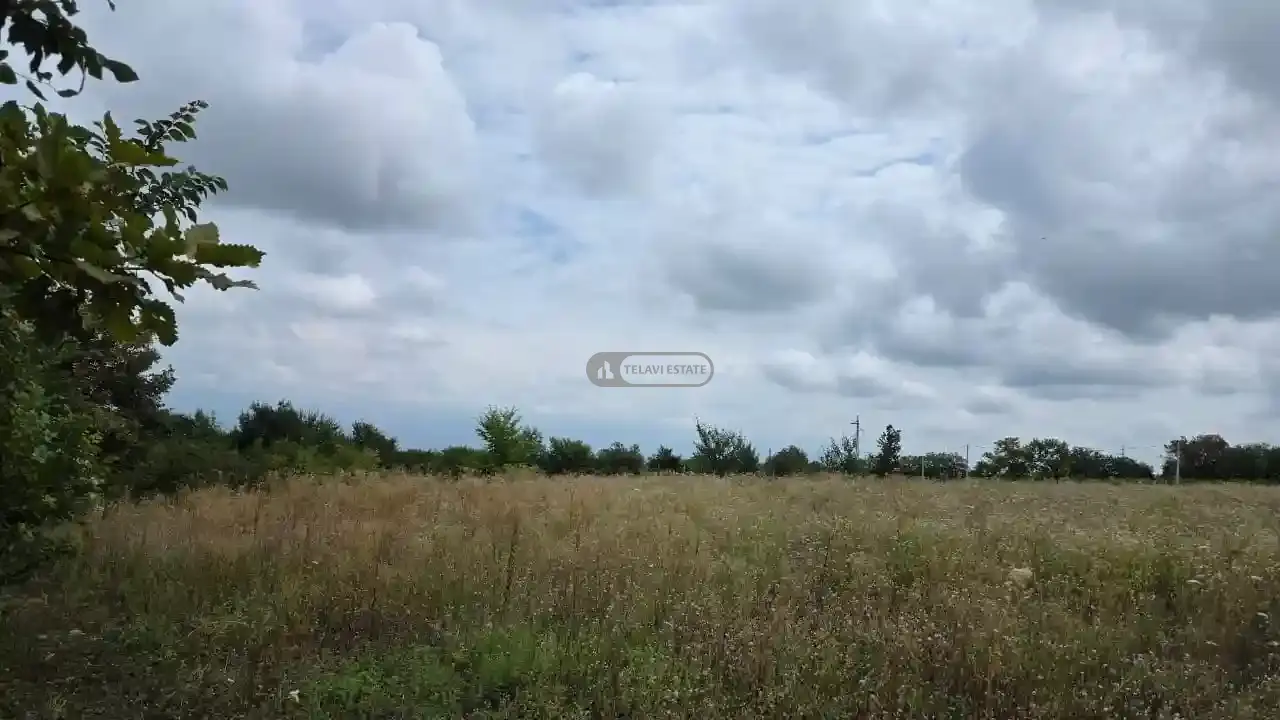 მიწის ნაკვეთი კისისხევში