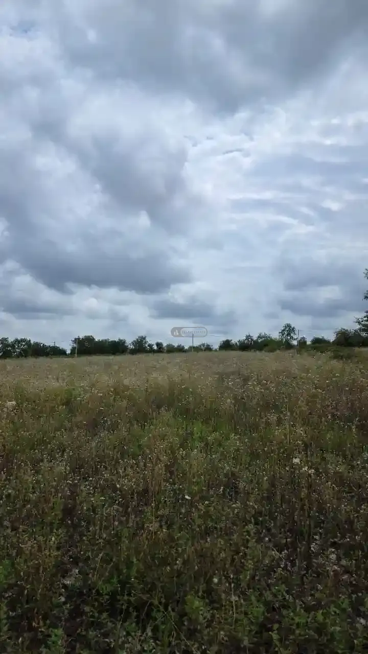 მიწის ნაკვეთი კისისხევში