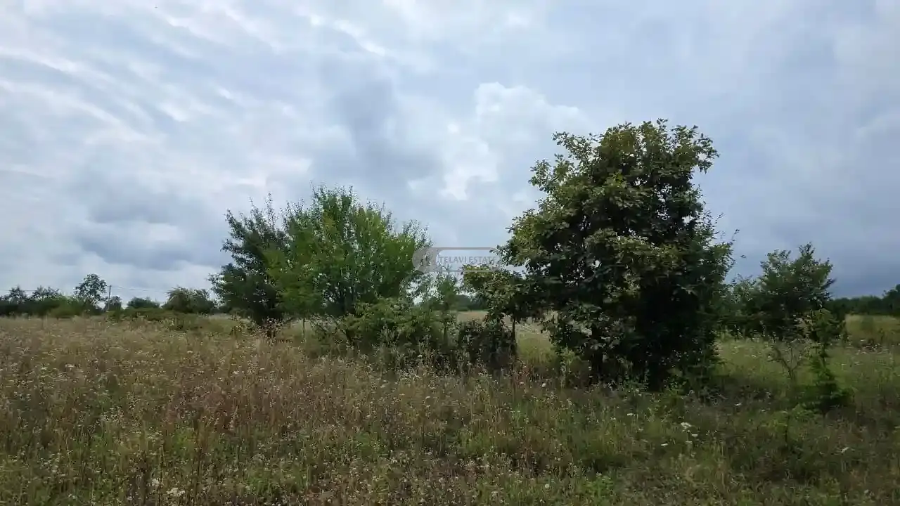 მიწის ნაკვეთი კისისხევში