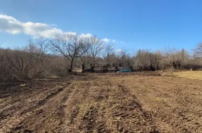 მიწის ნაკვეთი შალაურში