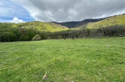 მიწის ნაკვეთი ლაგოდეხის ნაკრძალთან