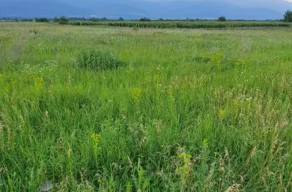 Land for Sale in Kisiskhevi