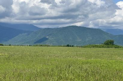 მიწის ნაკვეთი საბუეში – ქინძმარაულის ზონაში