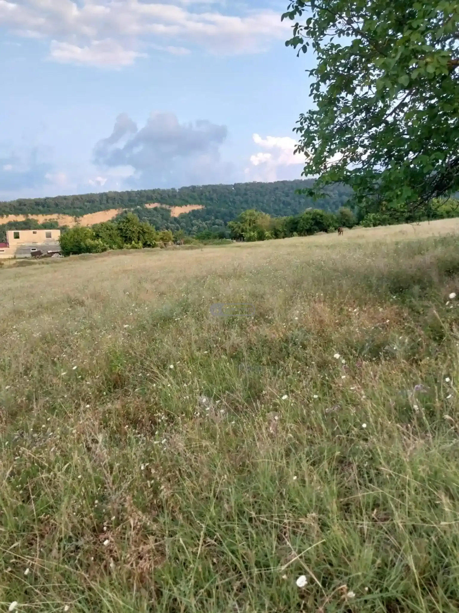 საინვესტიციო მიწის ნაკვეთი კისისხევში