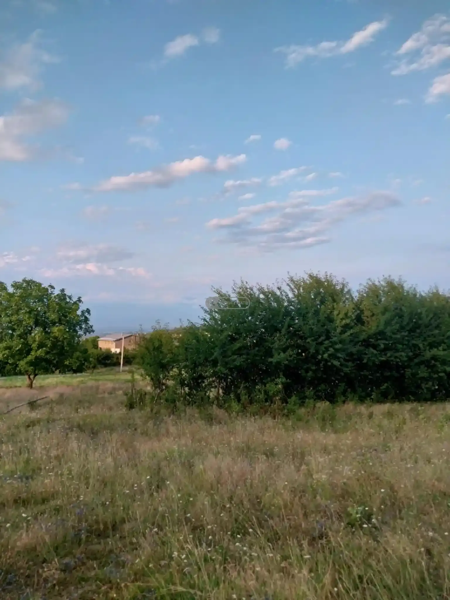 საინვესტიციო მიწის ნაკვეთი კისისხევში