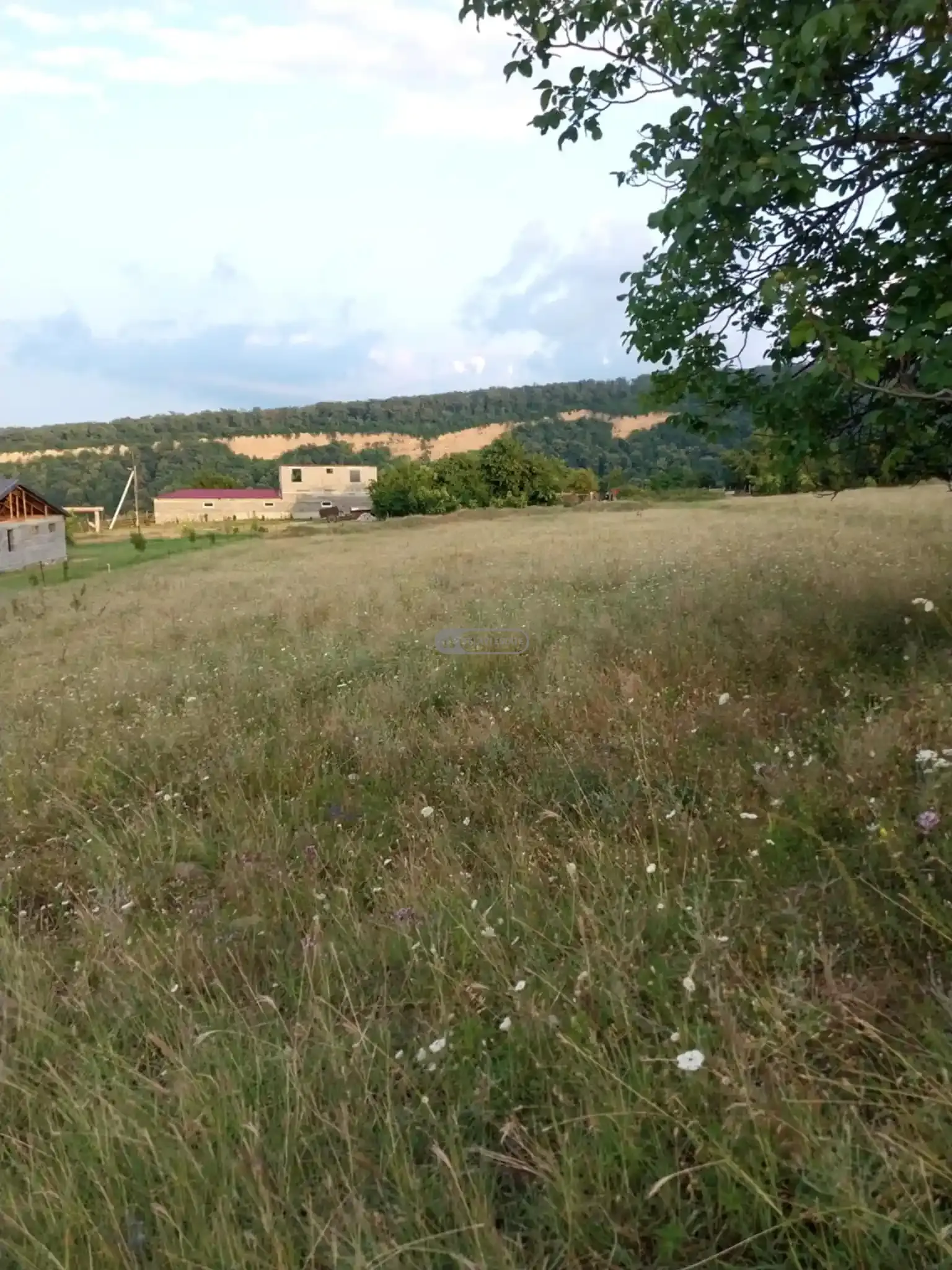 საინვესტიციო მიწის ნაკვეთი კისისხევში