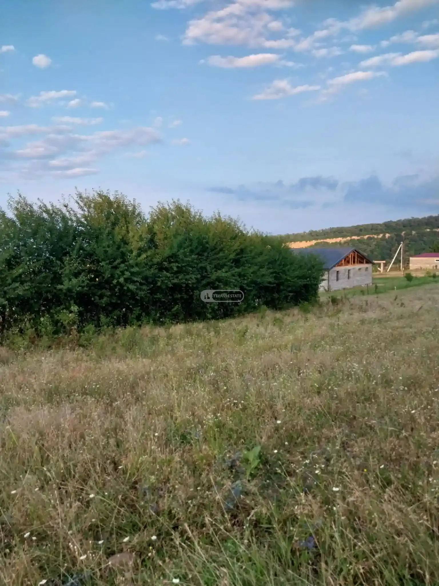 საინვესტიციო მიწის ნაკვეთი კისისხევში