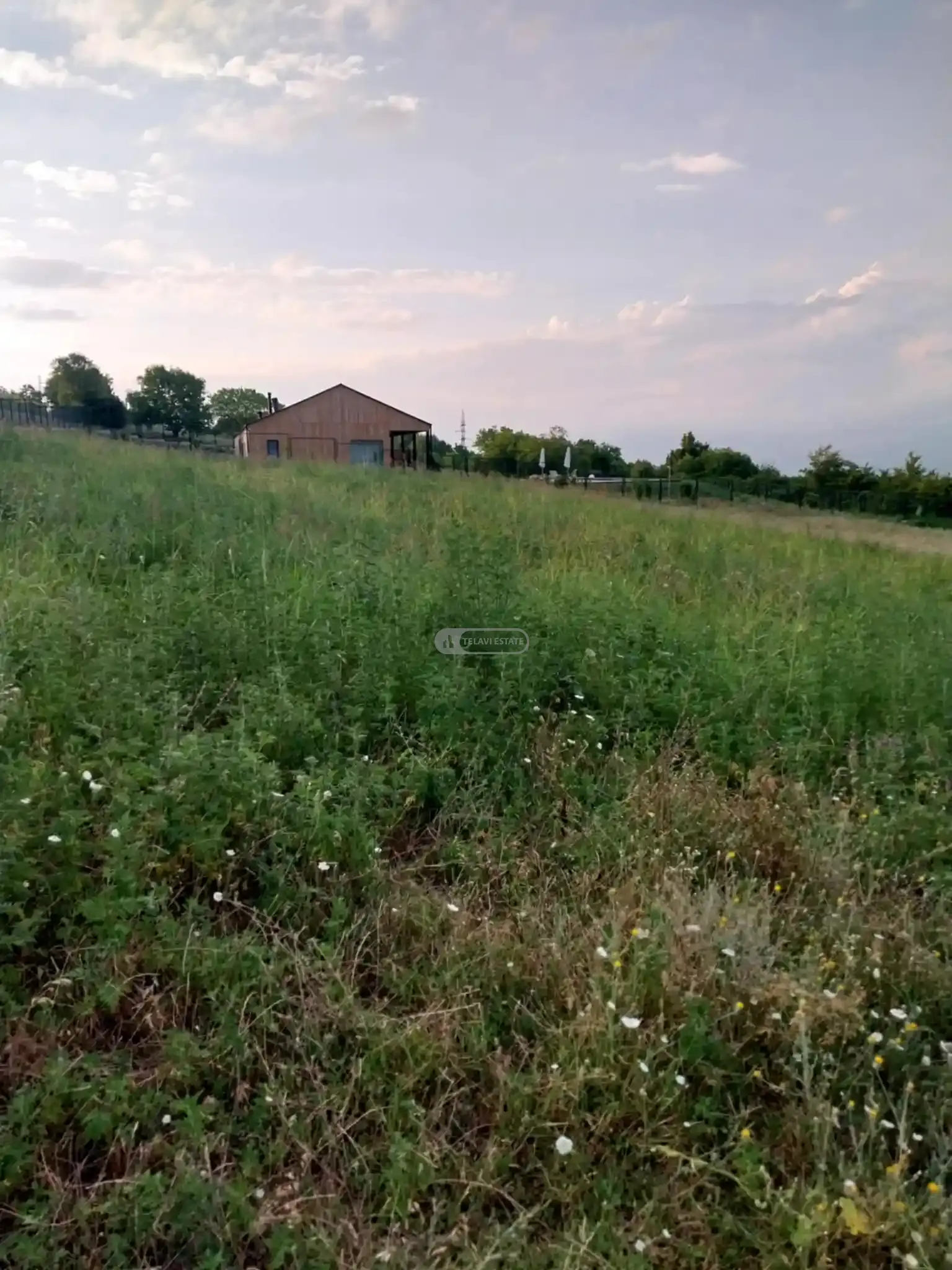 საინვესტიციო მიწის ნაკვეთი კისისხევში