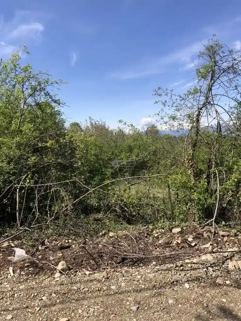 მიწის ნაკვეთი წინანდალში