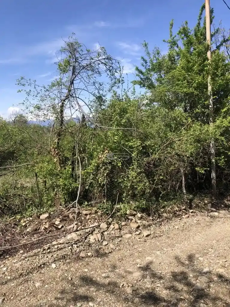 მიწის ნაკვეთი წინანდალში