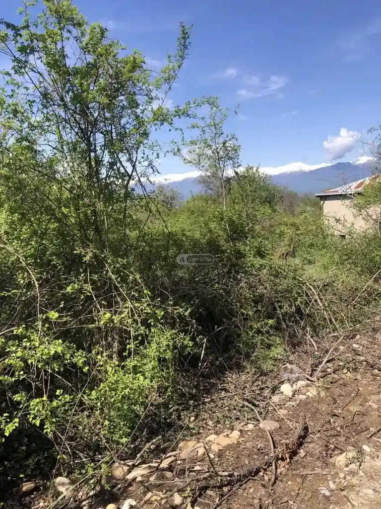 მიწის ნაკვეთი წინანდალში