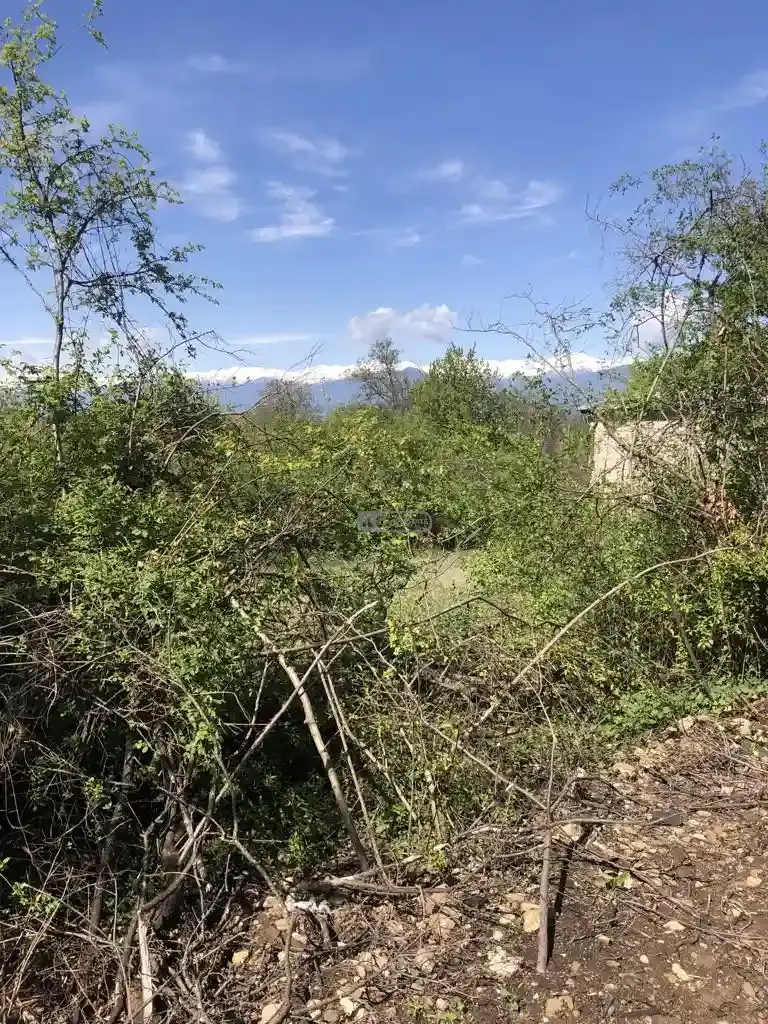 მიწის ნაკვეთი წინანდალში