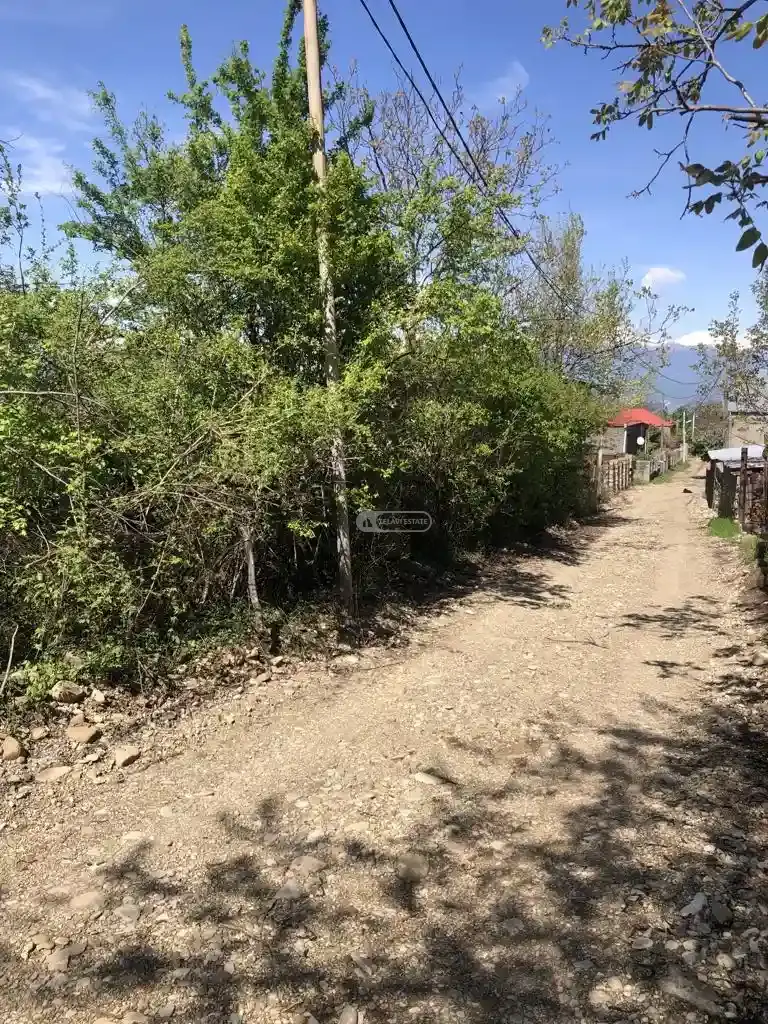 მიწის ნაკვეთი წინანდალში