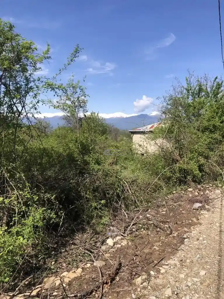 მიწის ნაკვეთი წინანდალში