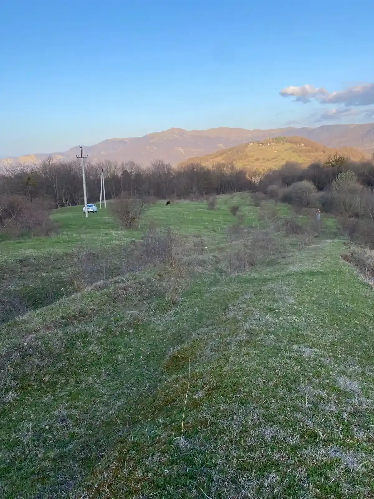 Продается земельный участок в селе Тетрицклеби