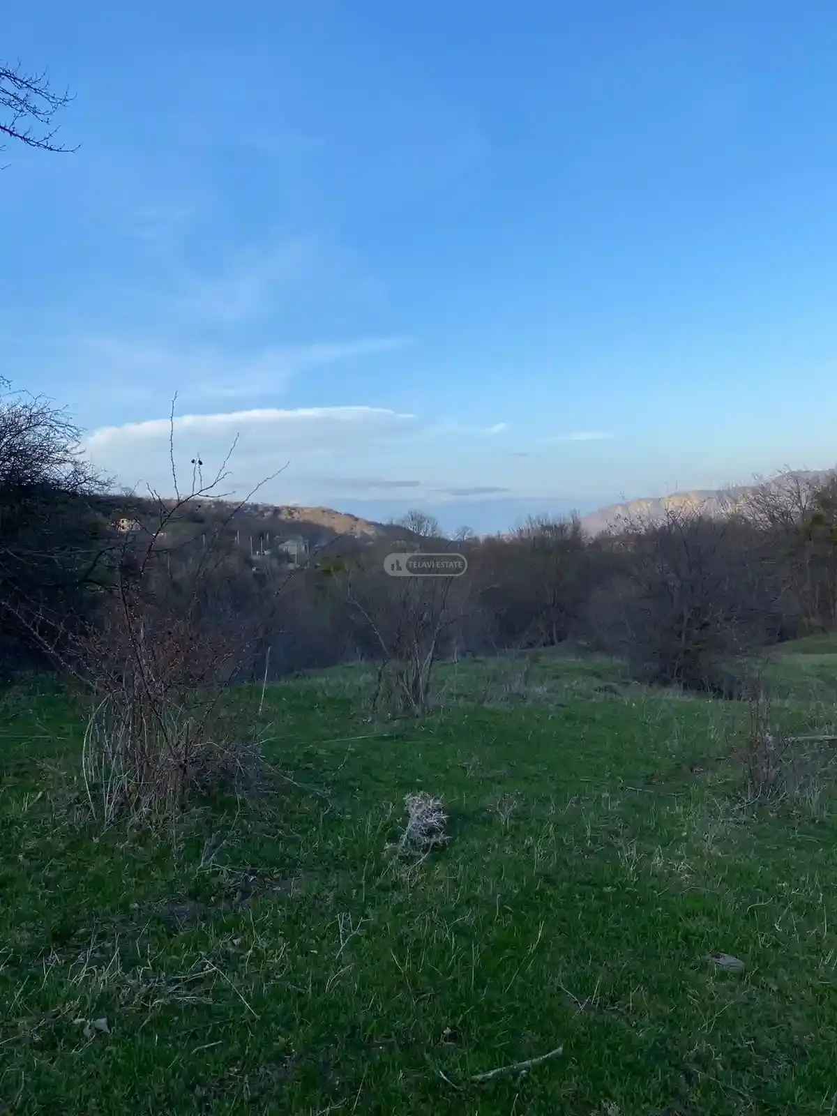 Продается земельный участок в селе Тетрицклеби