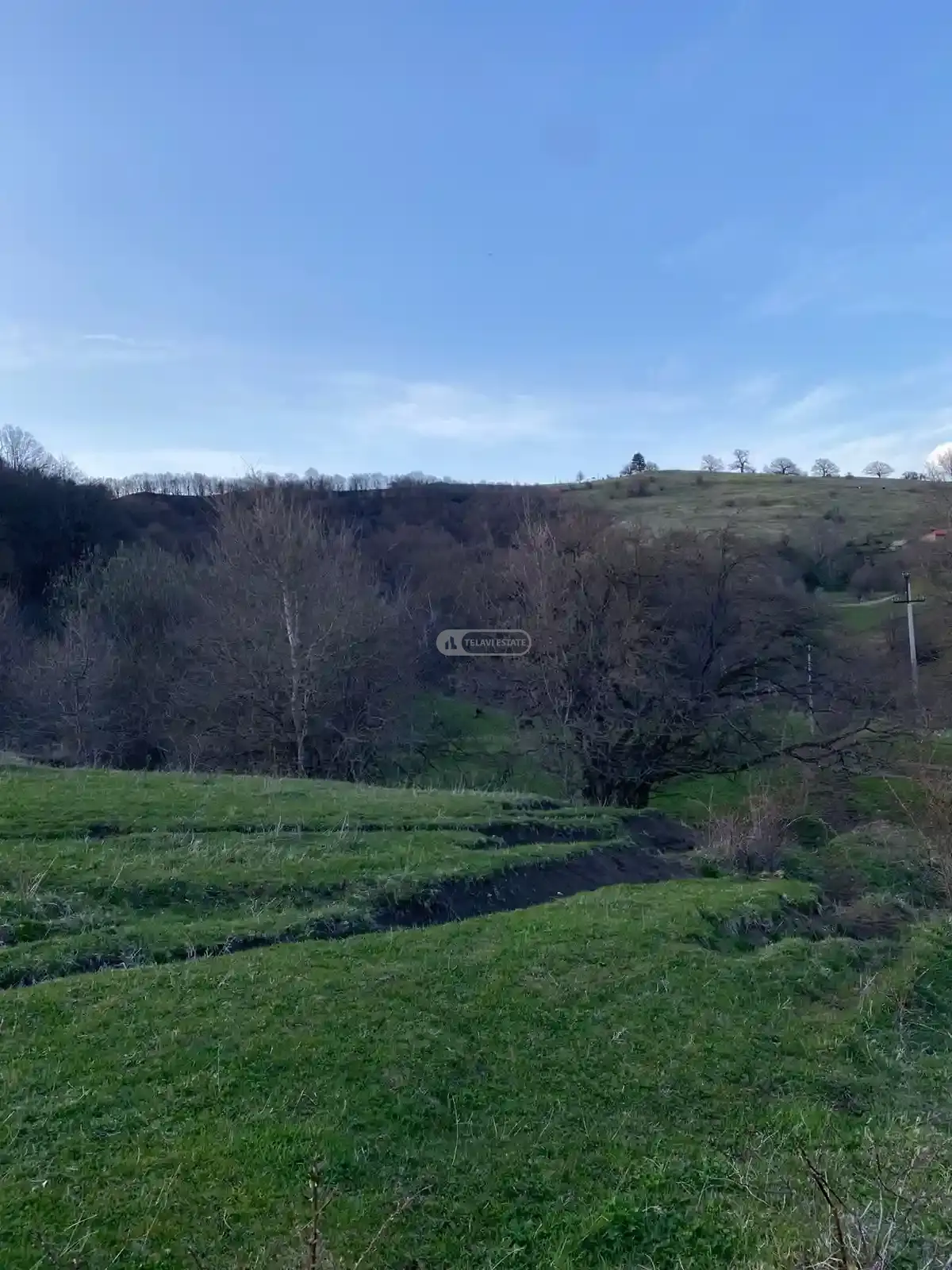 Продается земельный участок в селе Тетрицклеби