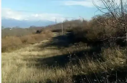 მიწის ნაკვეთი ვარდისუბანში