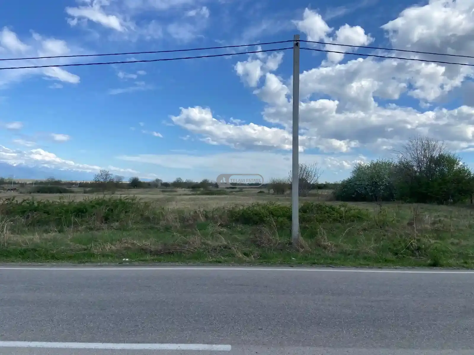 კომერციული მიწის ნაკვეთი კურდღელაურში