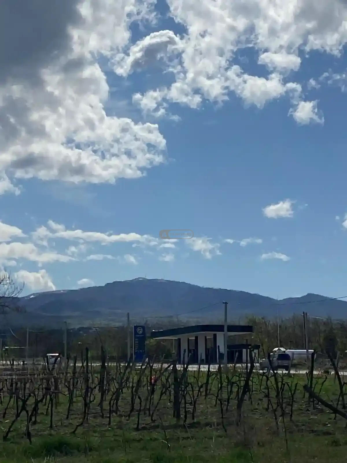 კომერციული მიწის ნაკვეთი კურდღელაურში