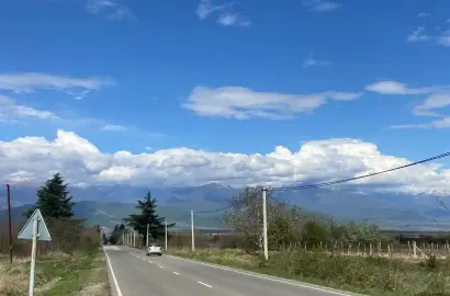 კომერციული მიწის ნაკვეთი კურდღელაურში