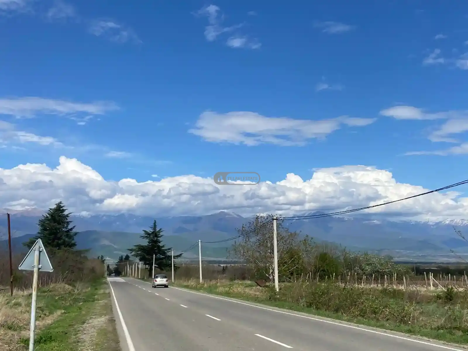 კომერციული მიწის ნაკვეთი კურდღელაურში